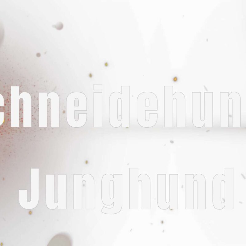 Lehrvideo: Schneidehunde - Junghund (digitaler Download)