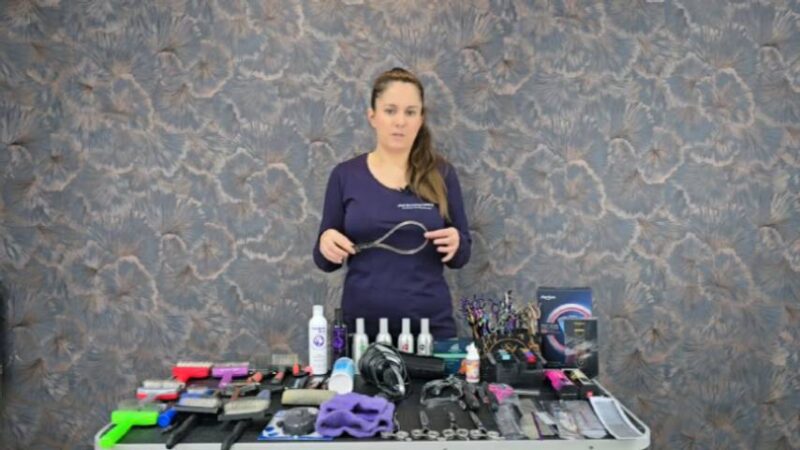 Lehrvideo: Materialkunde (digitaler Download) – Bild 4