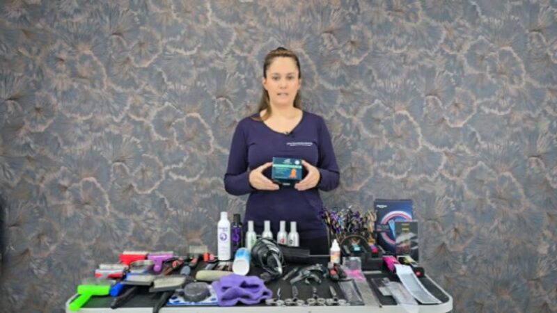 Lehrvideo: Materialkunde (digitaler Download) – Bild 8