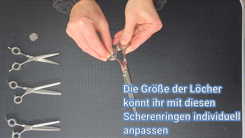 Lehrvideo: verschiedene Scheren & die richtige Scherenhaltung (digitaler Download) – Bild 2