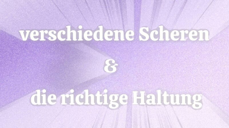 Lehrvideo: verschiedene Scheren & die richtige Scherenhaltung (digitaler Download) – Bild 3