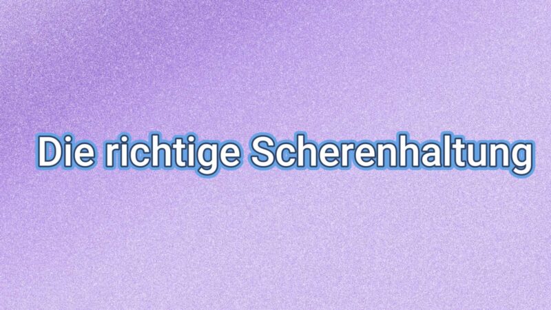 Lehrvideo: verschiedene Scheren & die richtige Scherenhaltung (digitaler Download) – Bild 5
